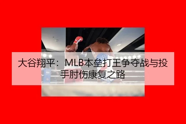 da-gu-xiang-ping-ben-lei-da-wang-zheng-duo-zhan-yu-tou-shou-zhou-shang-kang-fu-zhi-lu-2-672.jpg